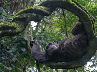 thumbnail - Prix Photographie