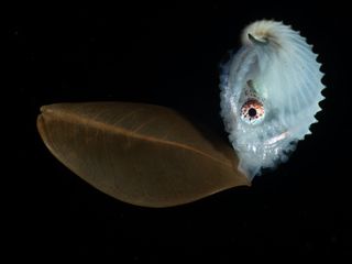 Image - Prix Photographie