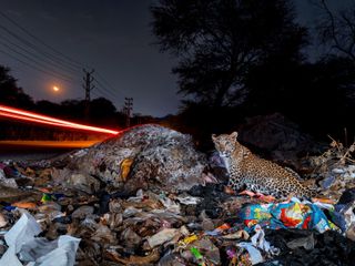 Image - Prix Photographie