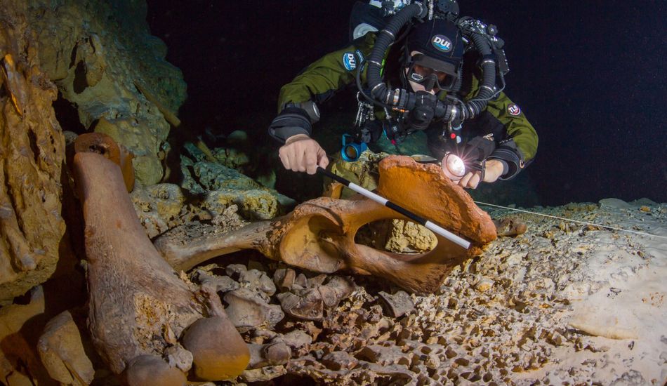 imageGrottes Sous-Marines