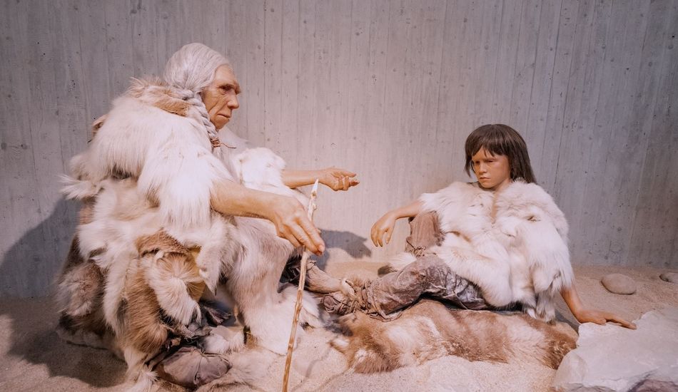 Cannibalisme Néandertalien