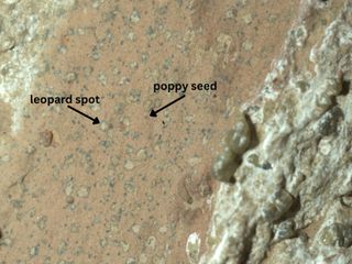 Image - Découvertes NASA