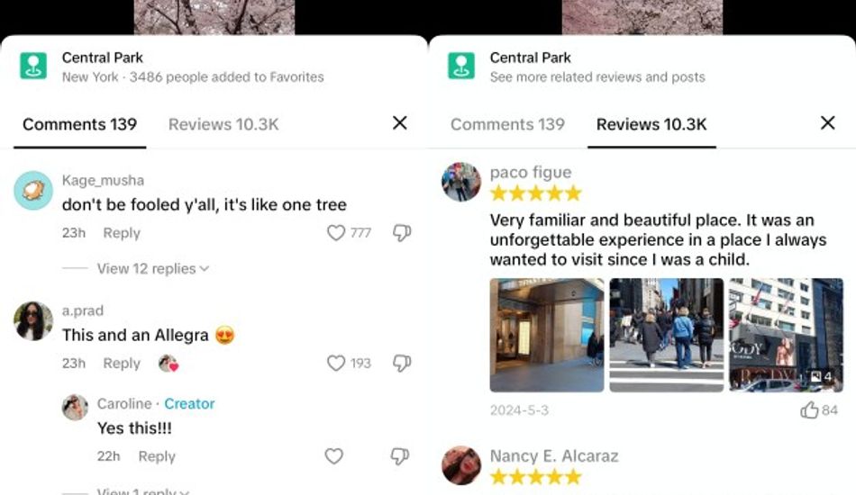 imageTikTok Avis
