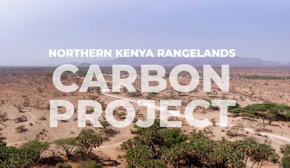 Litige Crédits Carbone