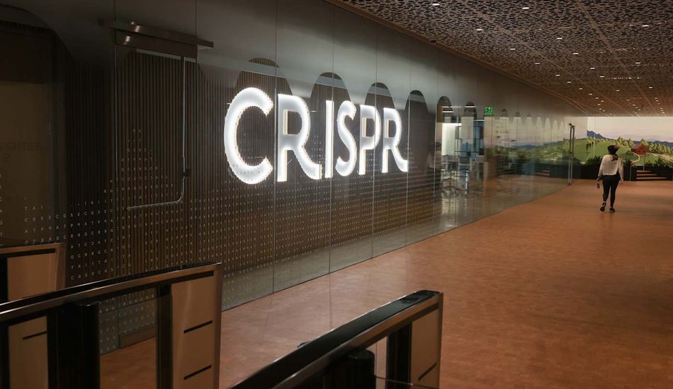 CRISPR, Paludisme