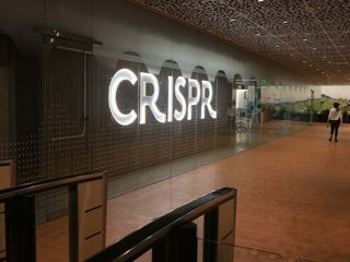 thumbnail - CRISPR, Paludisme