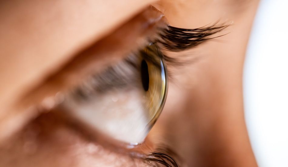 Correction Oculaire