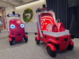 Image - DoorDash Dot